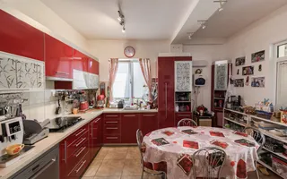 Casa cu salcie - refugiul tău boem, lângă oraș, pe un teren de 1800 mp - Poză 16