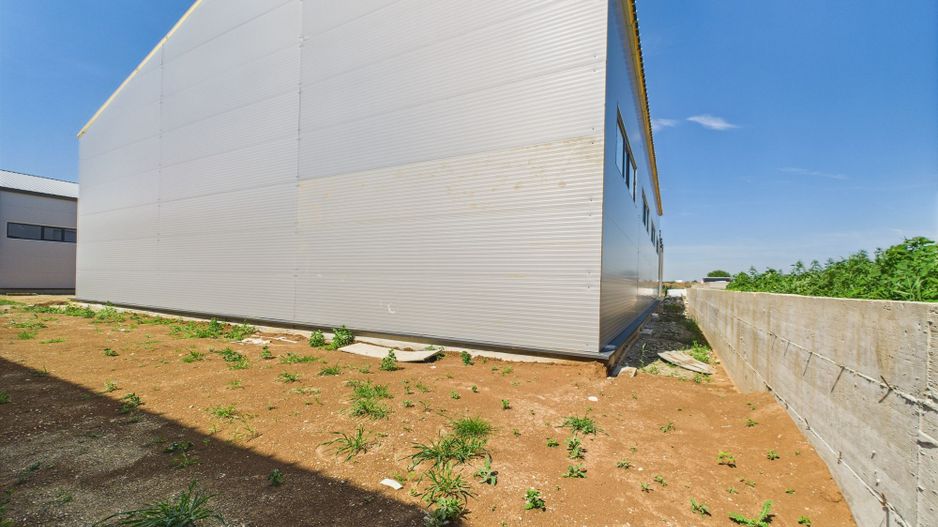 Hală industrială în zona Giarmata – Timiș - Poză 8