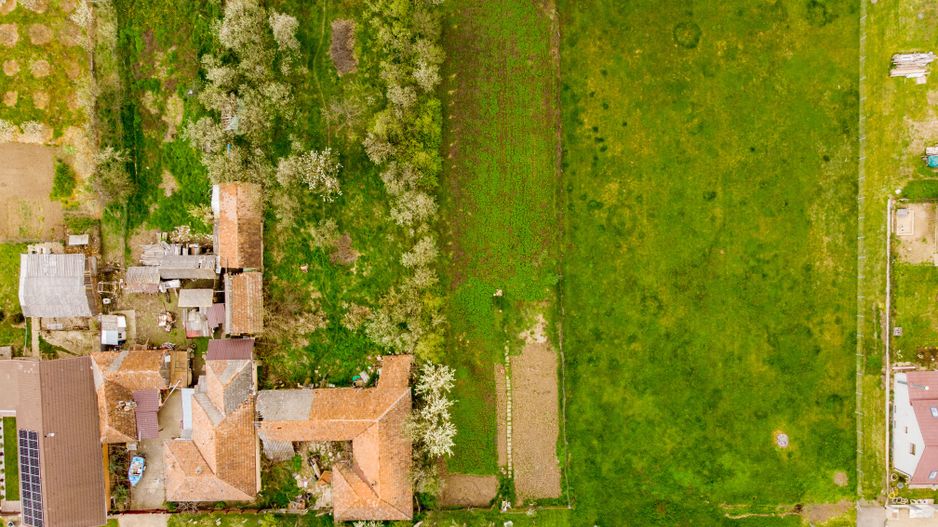 Teren de 1316mp în Frumușeni. - Poză 6