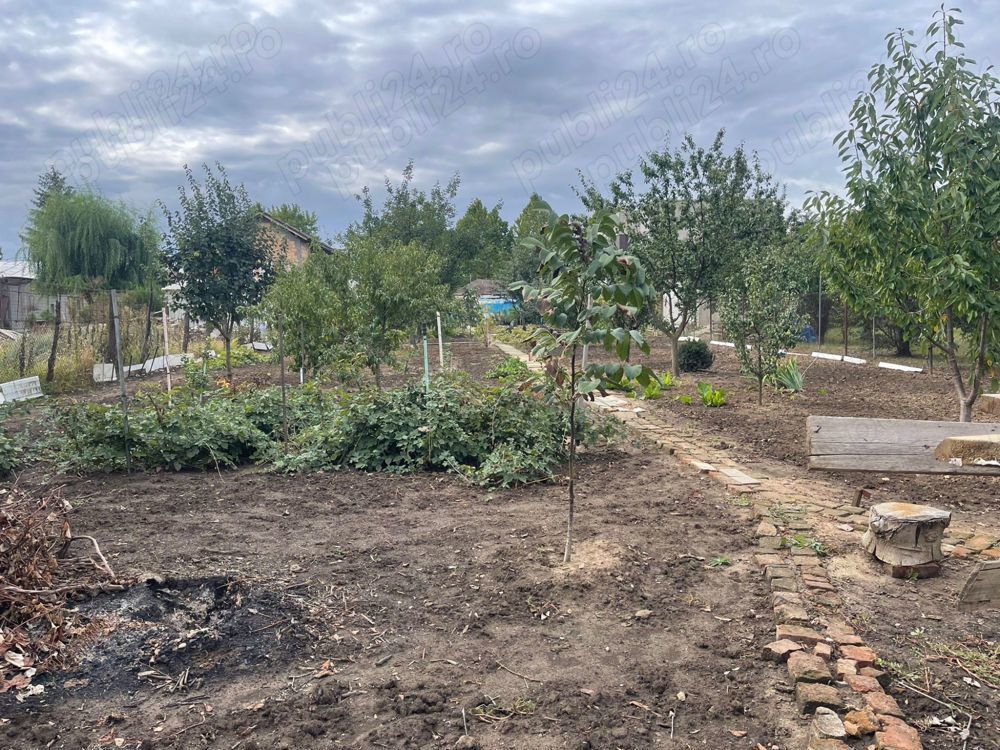 Teren de vanzare | Mogosoaia | 1252 mp - Poză 2