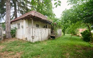 Teren 2240 mp intravilan + casa batraneasca Hintesti-Basangesti - Poză 2