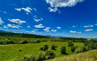 Teren cu potențial turistic I Valea Avrigului I 2900 MP - Poză 3