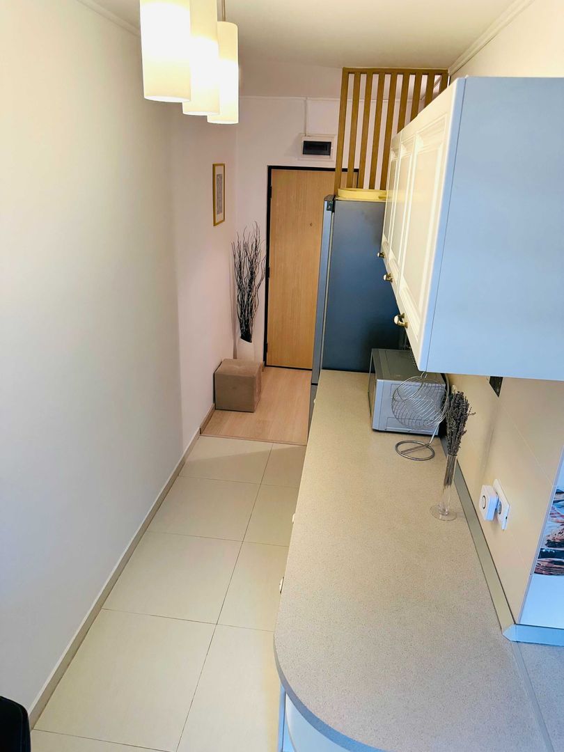 Garsoniera 46 mp, Matei Basarab 96 - Delea Noua, loc parcare - Poză 6