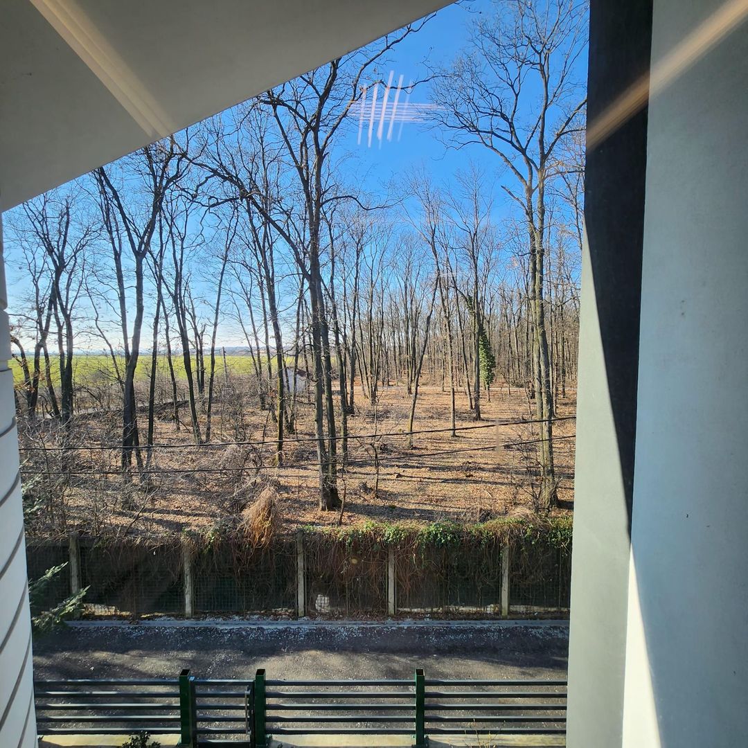 Vila individuala strada Radarului la padure - Poză 17