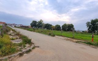 Oportunitate de investitie, posibilitate parcelare, 12.000 MP, Sebes - Poză 3