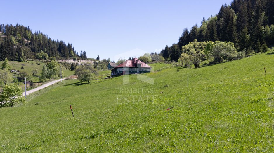 Fundata-Teren de vanzare 15,771 mp intravilan+extravilan+padure - Poză 5