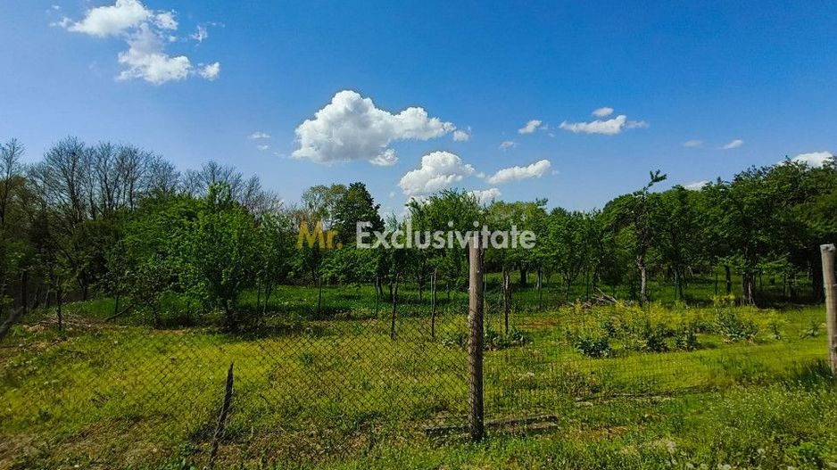 Teren 1712mp de vânzare în Horezu, Turcinești, lângă Pensiunea Arianna - Poză 6