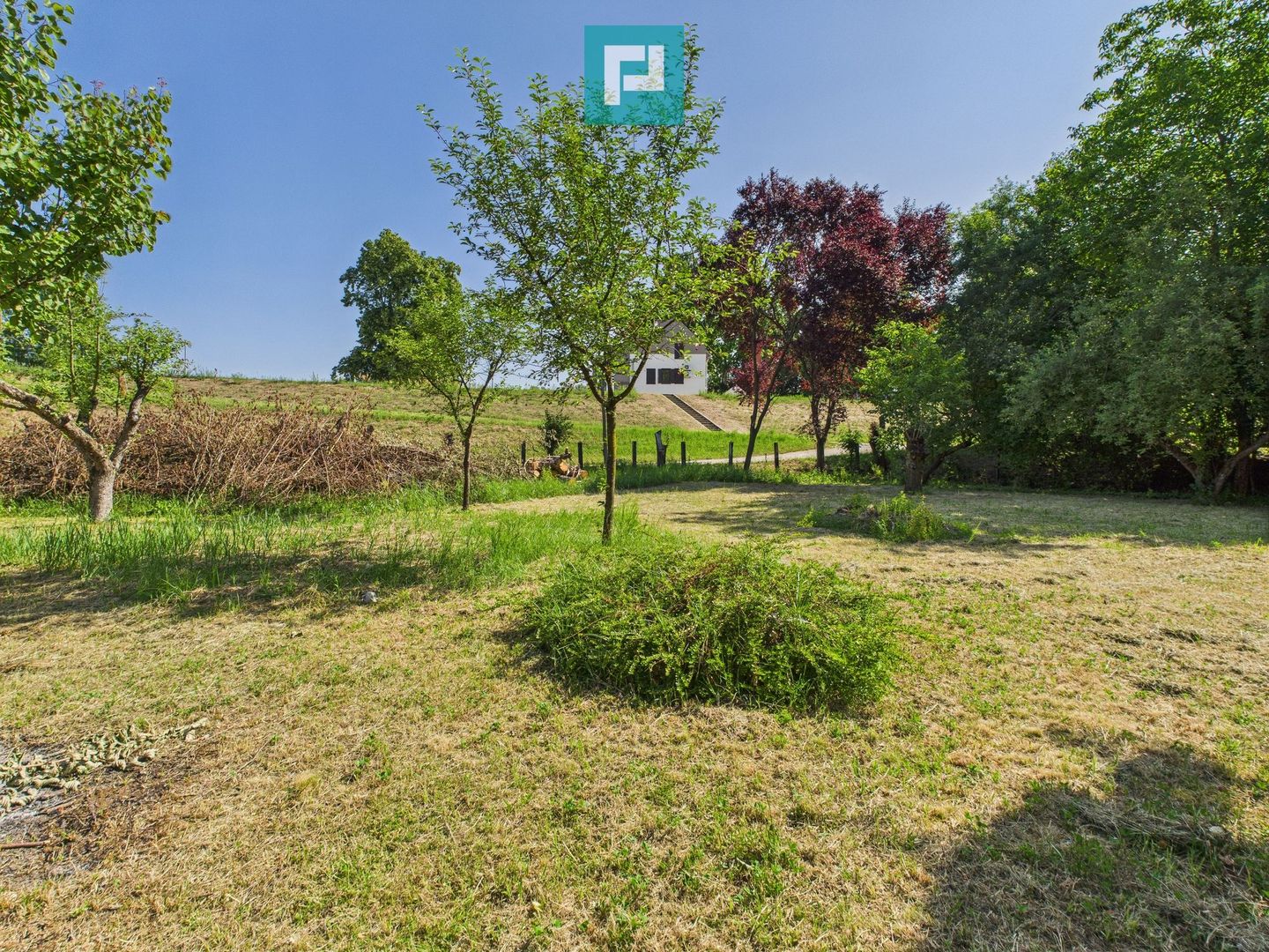 Căsuță de vacanță – cu POTENȚIAL DE INVESTIȚIE - Poză 3