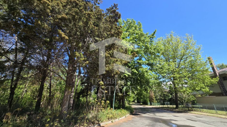 🏖 Teren de vanzare in Neptun – O oportunitate rara de investitie. - Poză 19