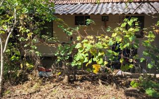 BRASADAS vinde casa in Moftinul Mare. - Poză 1