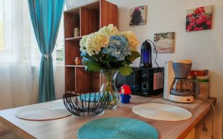 Garsoniera de inchiriat, mobilata modern, 30 mp, zona strazii Parang - Poză 1