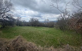 TEREN INTRAVILAN 2153 MP IN VALEA MARE PRAVAT - Poză 6