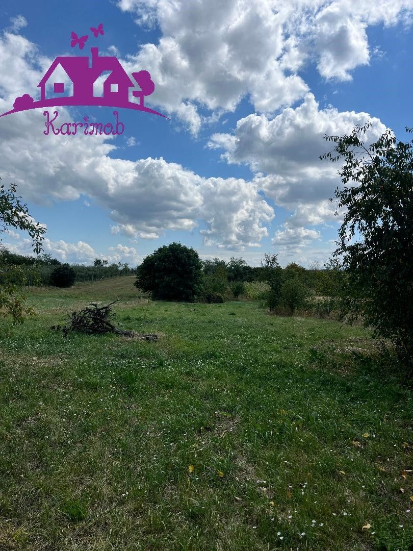 Casa in localitatea Carandeni - Poză 6