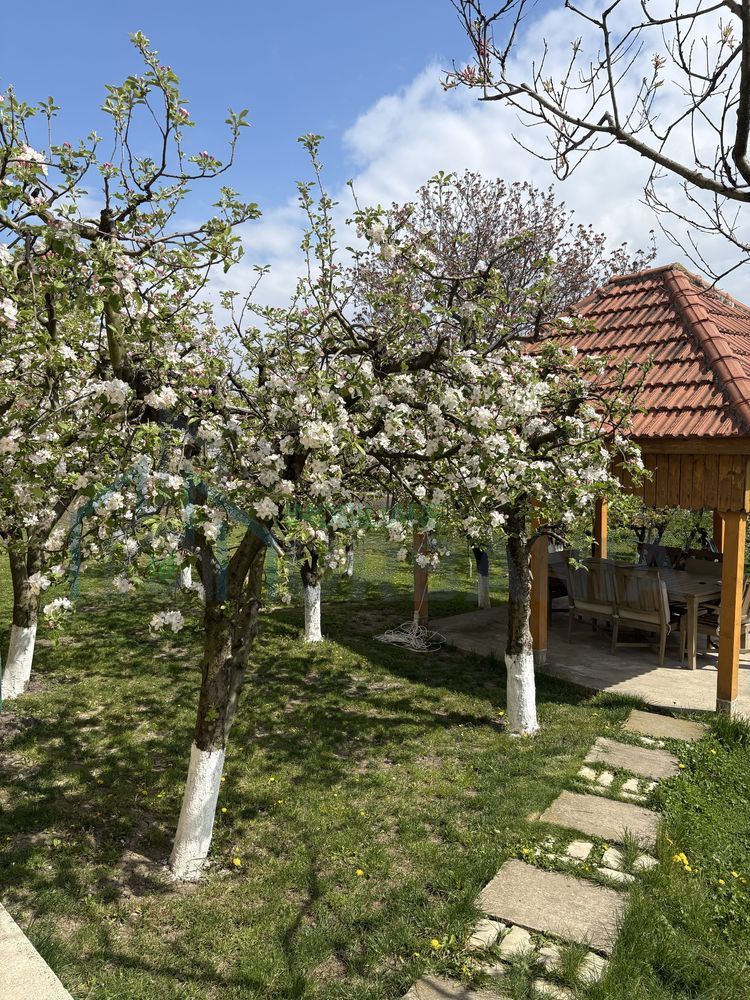 Casă de vânzare, 4 camere, Miroslava - 355.000 EUR - Poză 6