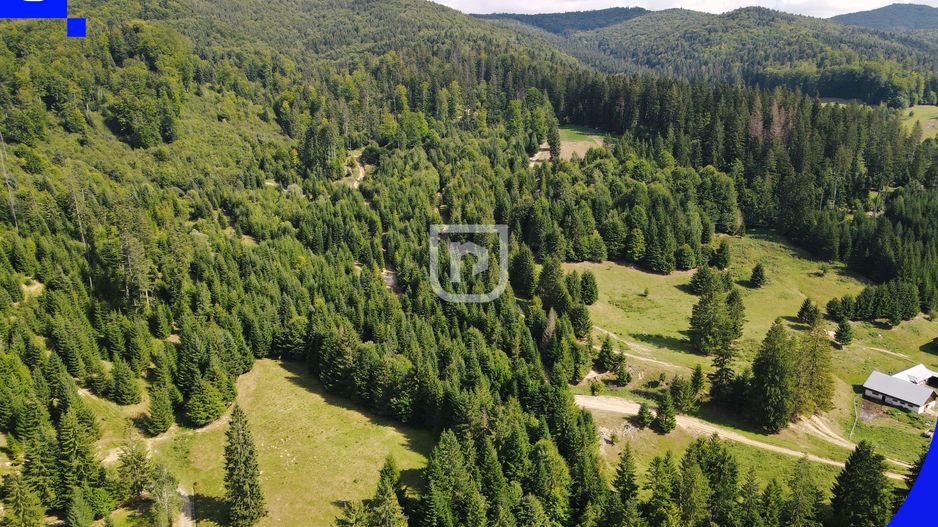 Teren - Voronet | Gura Humorului | BUCOVINA - Poză 13