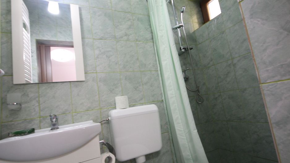 Casa zona Parc Buzias - Poză 12