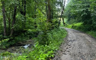 18000 mp de natura pura ,Lupeni, langa Straja - Poză 11