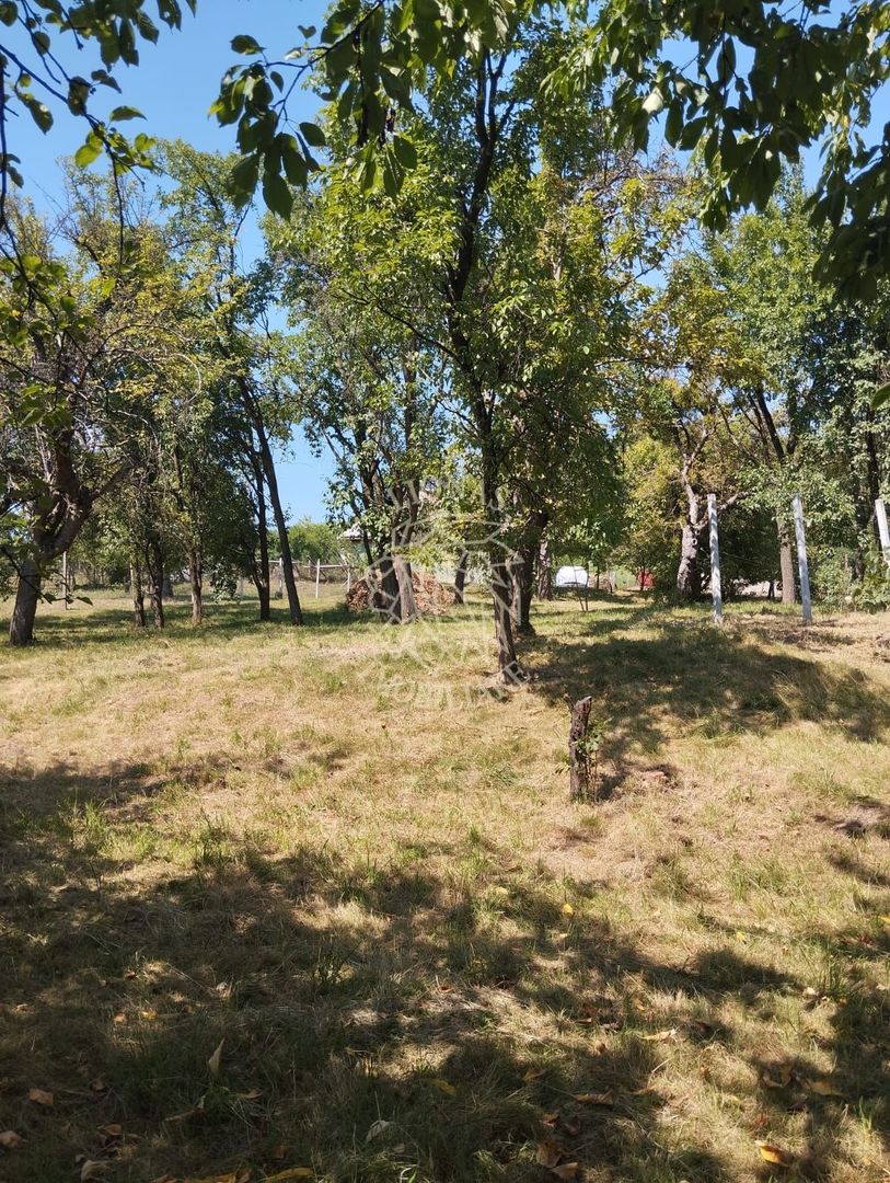 Teren intravilan 2828 mp+autorizatie casa-anexe-livada-Dorolea - Poză 4