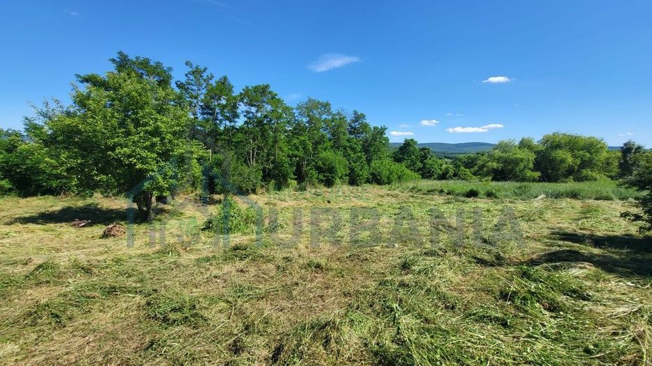 Teren de vânzare, Ciurea – 771 mp, intravilan, utilități - Poză 6