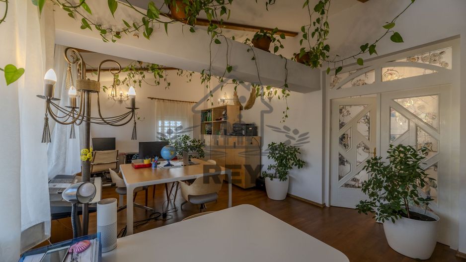 De Vânzare Vila Superba la liziera parcului Sub Arini - Poză 16