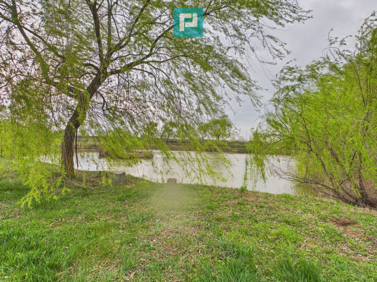 Teren 1 ha cu baltă populată – Alioș (Mașloc) - Poză 8
