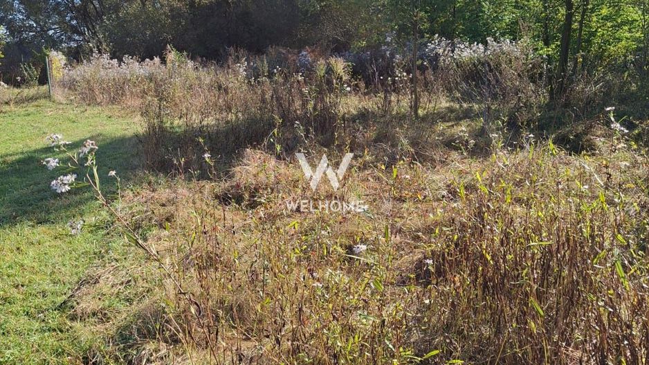 Teren de vanzare Daia Noua - Poză 1