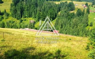 7130 mp TEREN INTRAVILAN ARIESENI-ALBA langa viitoarea partie de SCHI - Poză 4