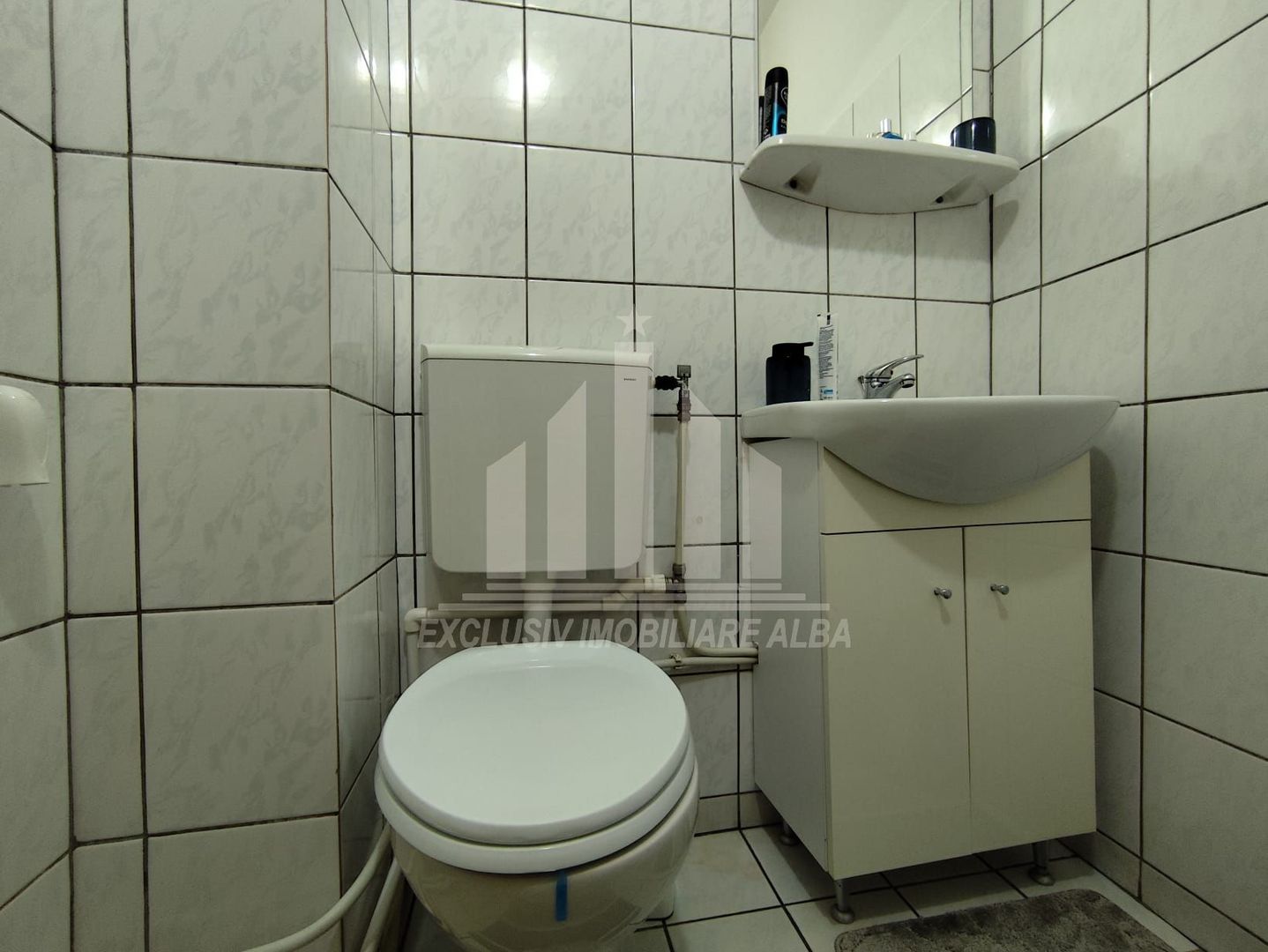 Apartament cu 3 camere de vanzare, Cetate - Poză 7