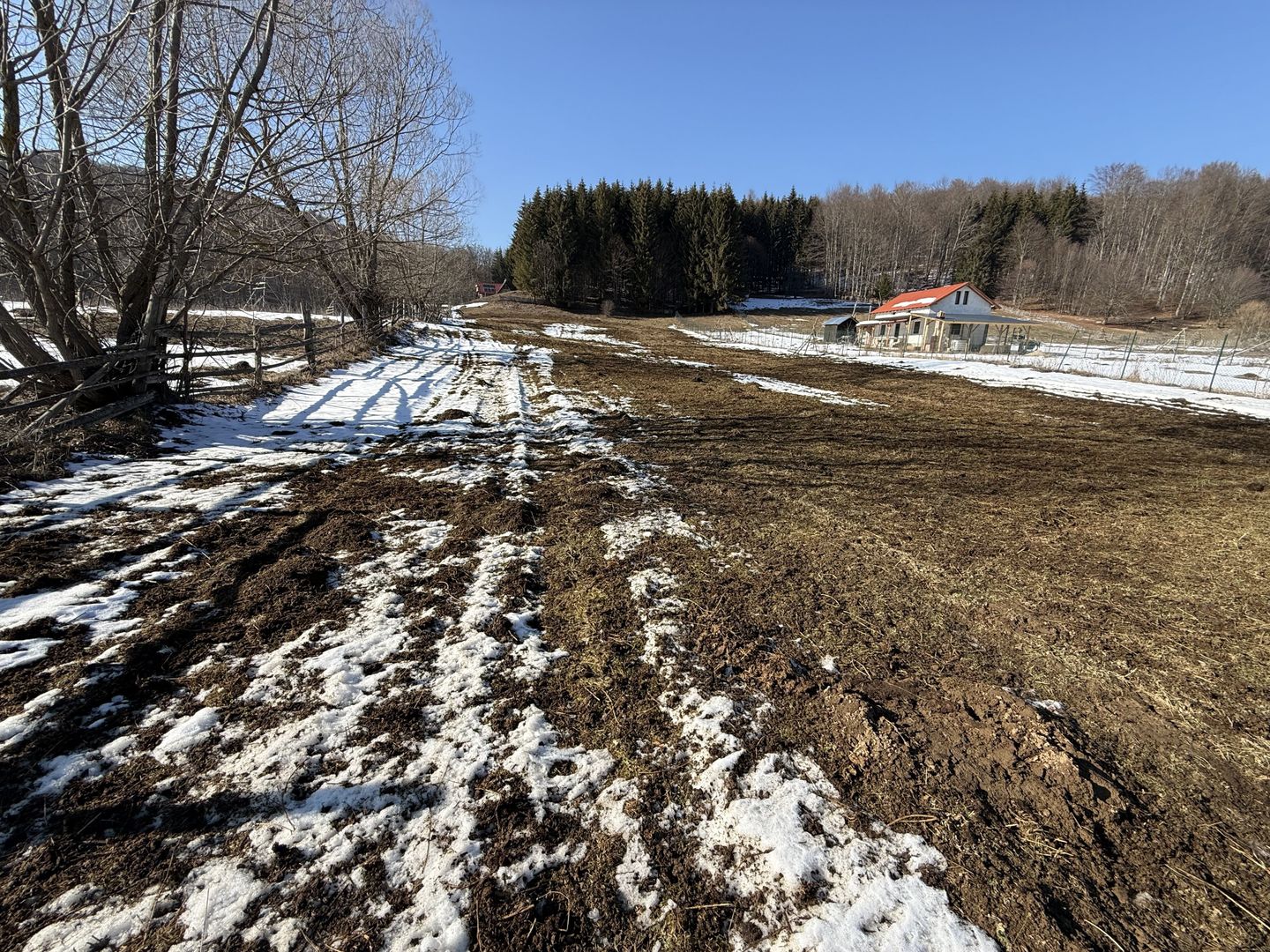 Teren intravilan 4521mp lângă pădure-valea Doftanei -Calea Brasovului - Poză 6