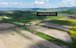 Teren intravilan | 687 MP | Aninoasa - Poză 1