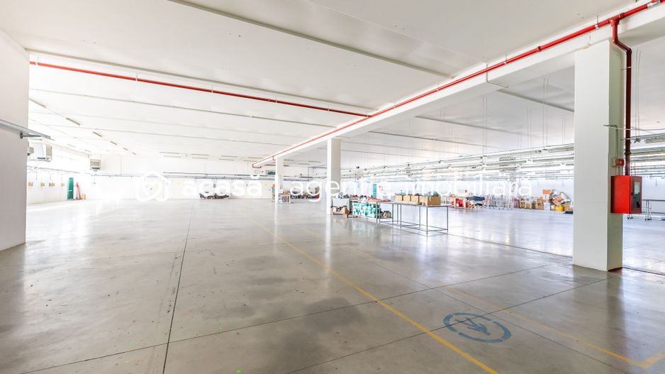 Hală producție în localitatea Sântana - Poză 2