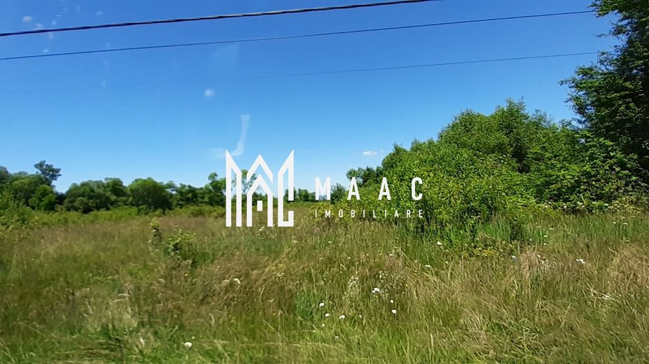 Teren Valea Avrigului | Investitie | 13000 MP - Poză 2