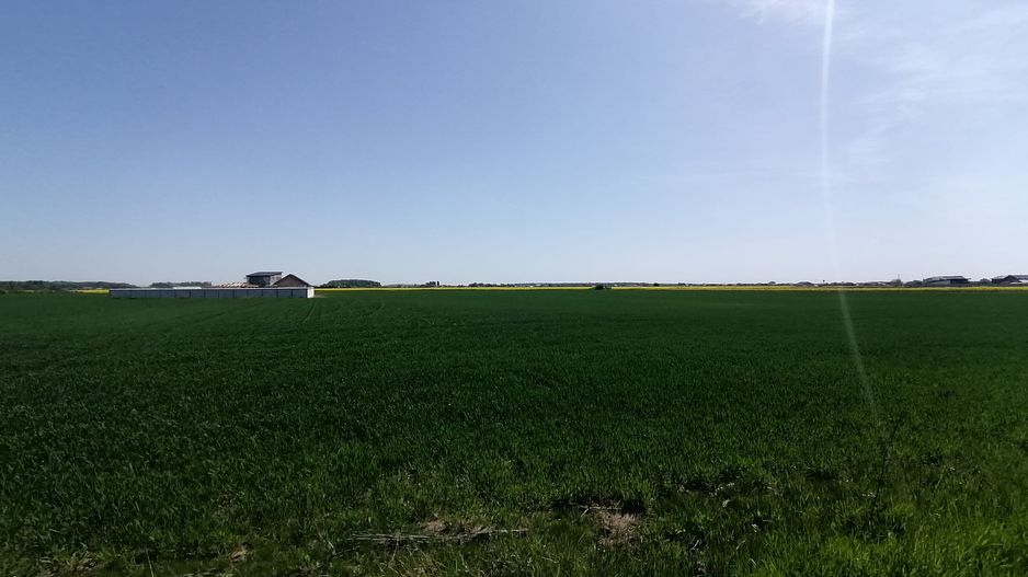 Teren intravilan 9313 mp in comuna 1 Decembrie - Ilfov - Poză 3