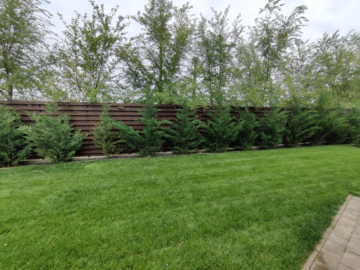 CASA  DEOSEBITA LA  SACALAZ IN SUPRAFATA DE 153 MP - Poză 34