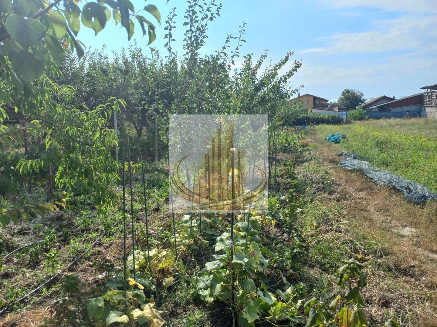 Casă individuală Plopi, 75 mp, teren 1.365 mp, 2 corpuri - Poză 11
