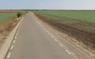 Teren 13700 mp Extravilan Livada de Bihor - Poză 2