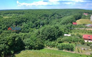 AZURA Imobiliare Pitesti - Casa de Vanzare Dealu Viilor - Poză 38