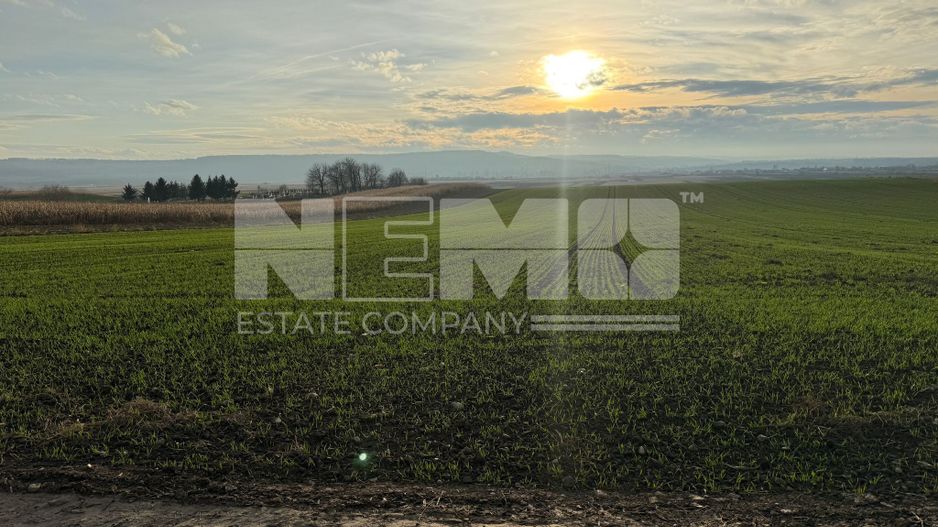 TEREN EXTRAVILAN | E85 | 126.000EURO NEGOCIABIL | - Poză 4