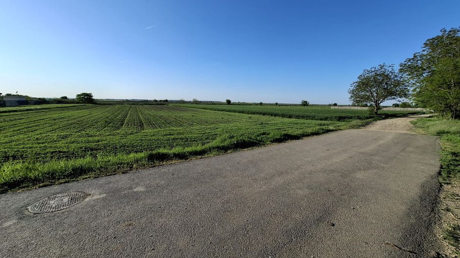 DÂRZA - TEREN INTRAVILAN - Poză 4