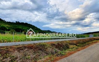 Teren intravilan 25 ari la iesire din Livezeni spre Ivanesti 48 eu /mp - Poză 1