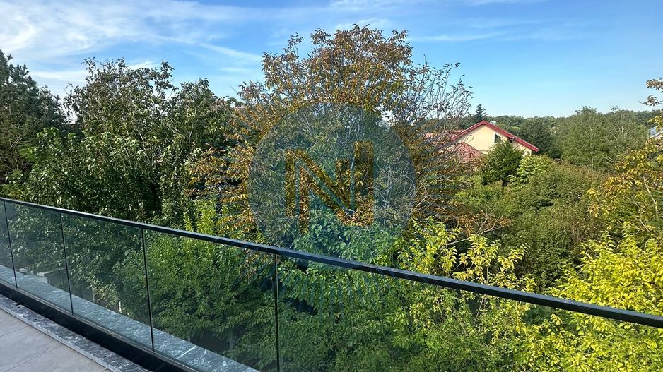 Vila cu 5 camere cu piscina proprie - scoala Americana - Poză 34