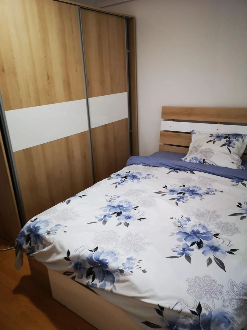 Apartament 2 camere- Brazda lui Novac, bd Dacia - Poză 2