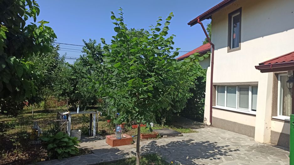 vila indiv+1198mp teren/pe DN4(sosBucuresti) in Frumusani/jud.Calarasi - Poză 89