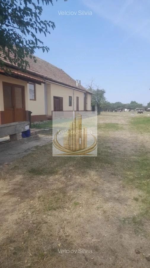 Casă individuală Dudeștii Noi | 2.526 mp teren | Pivniță - Poză 7