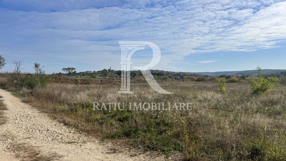 Teren intravilan 2500 MP | Paleu | Bihor - Poză 4