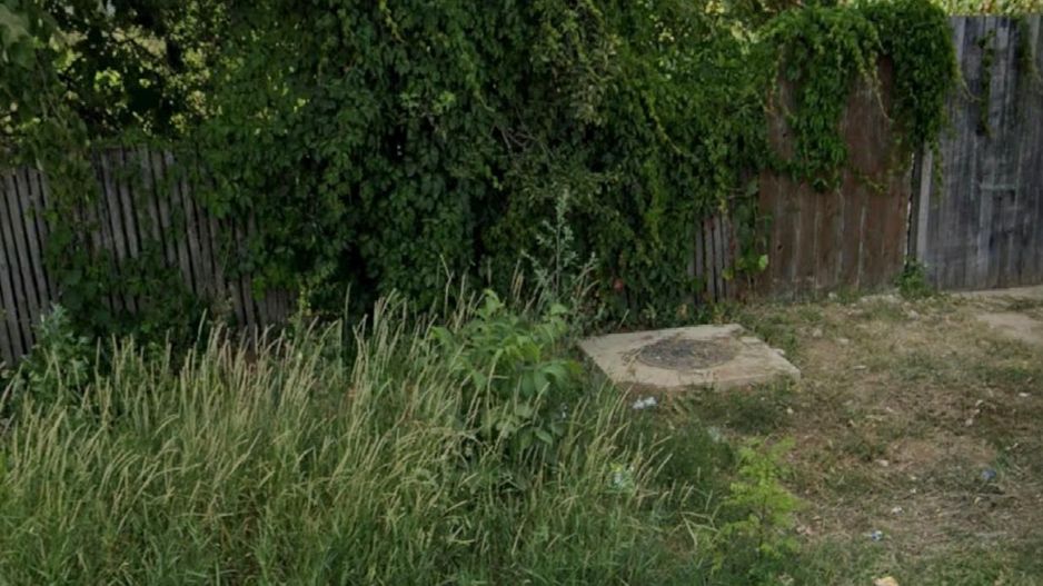 Teren vanzare 3000 mp Silistea Snagovului - Poză 3