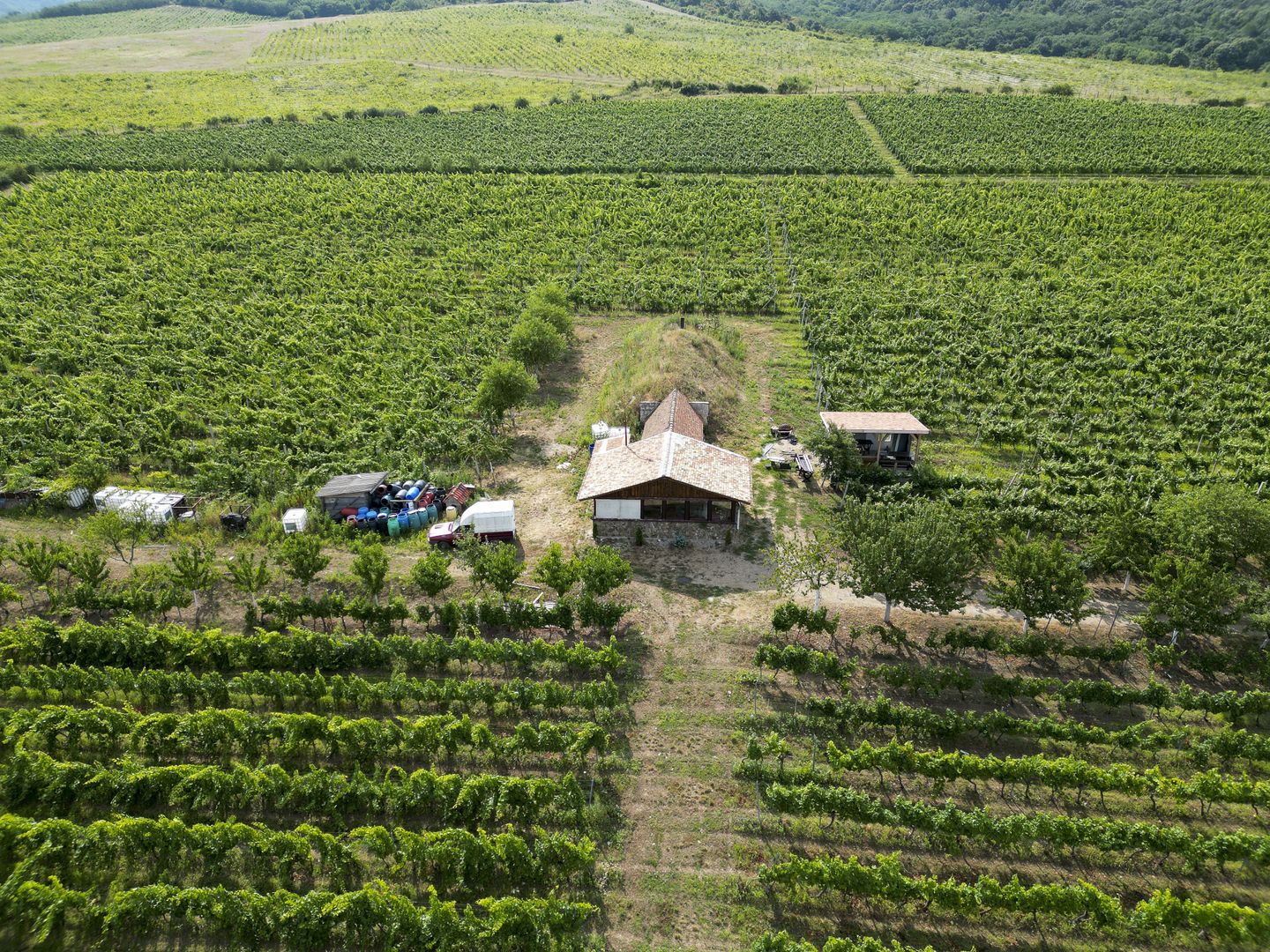 Vie Tradițională „Halta Lupilor” - Poză 36