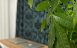 Apartament 3 camere Aviației - Poză 4