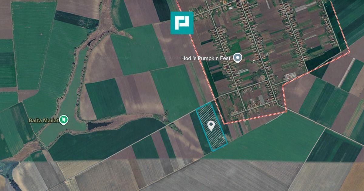 Teren de 8600 Mp2, agricol extravilan, Mailat - Poză 3