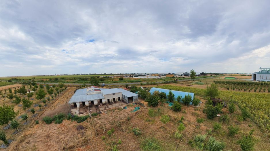 Livadă de 3,6 hectare în Iratoșu – Oportunitate - Poză 10